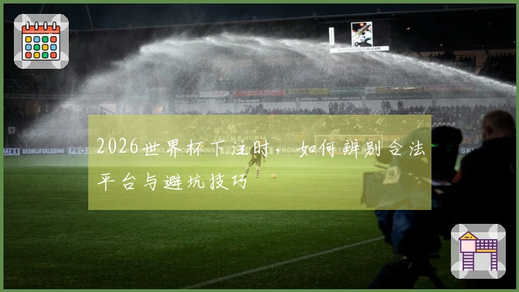 2026世界杯下注时，如何辨别合法平台与避坑技巧