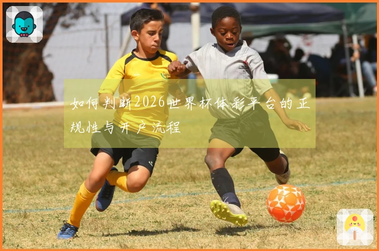 如何判断2026世界杯体彩平台的正规性与开户流程