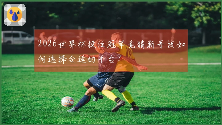 2026世界杯投注冠军竞猜新手该如何选择合适的平台？