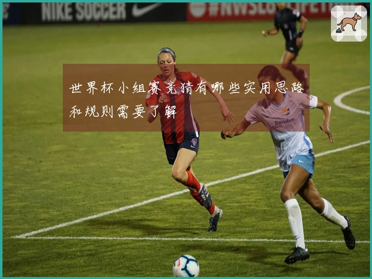 世界杯小组赛竞猜有哪些实用思路和规则需要了解