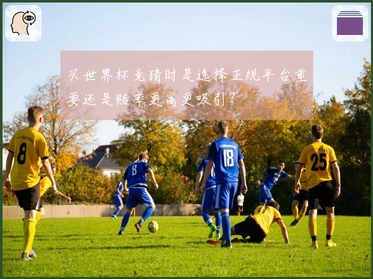 买世界杯竞猜时是选择正规平台重要还是赔率更高更吸引？