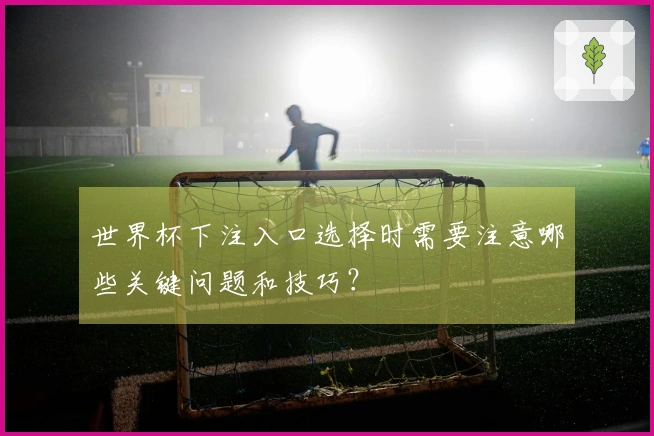 世界杯下注入口选择时需要注意哪些关键问题和技巧？