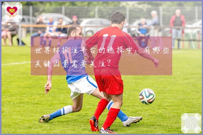 世界杯投注平台的选择中，有哪些关键因素需要关注？