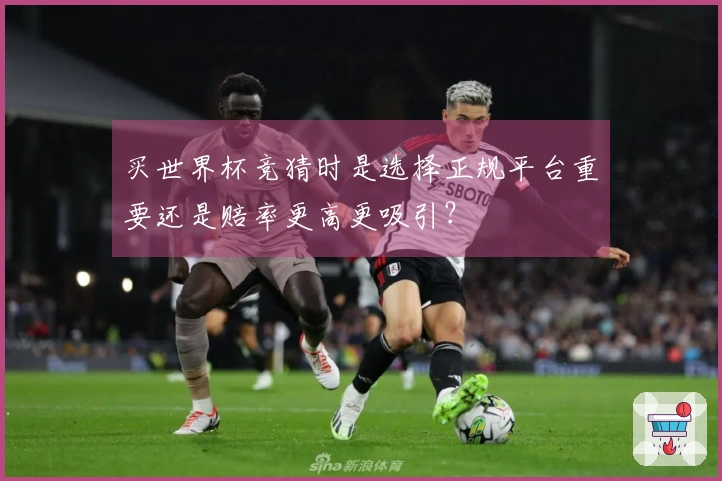 买世界杯竞猜时是选择正规平台重要还是赔率更高更吸引？